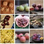 FGI Fruit Profiles
